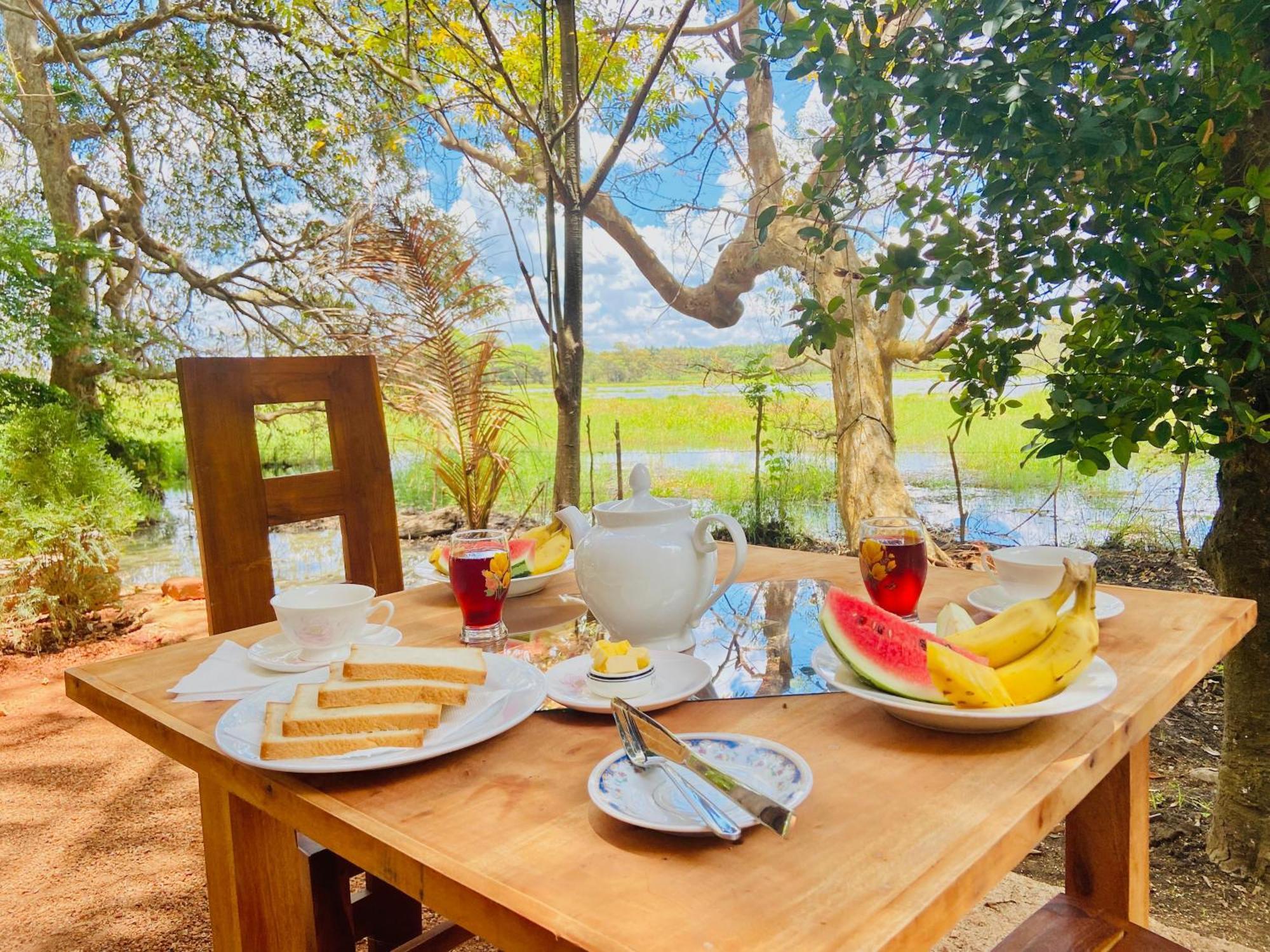 Nature Lotus Villa Дамбулла Экстерьер фото