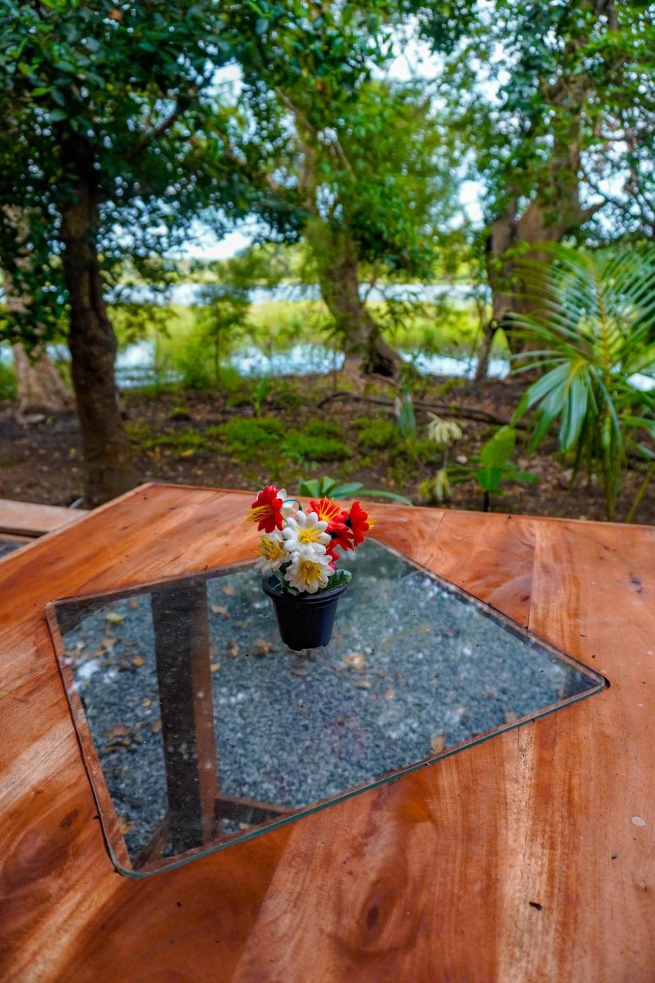 Nature Lotus Villa Дамбулла Экстерьер фото