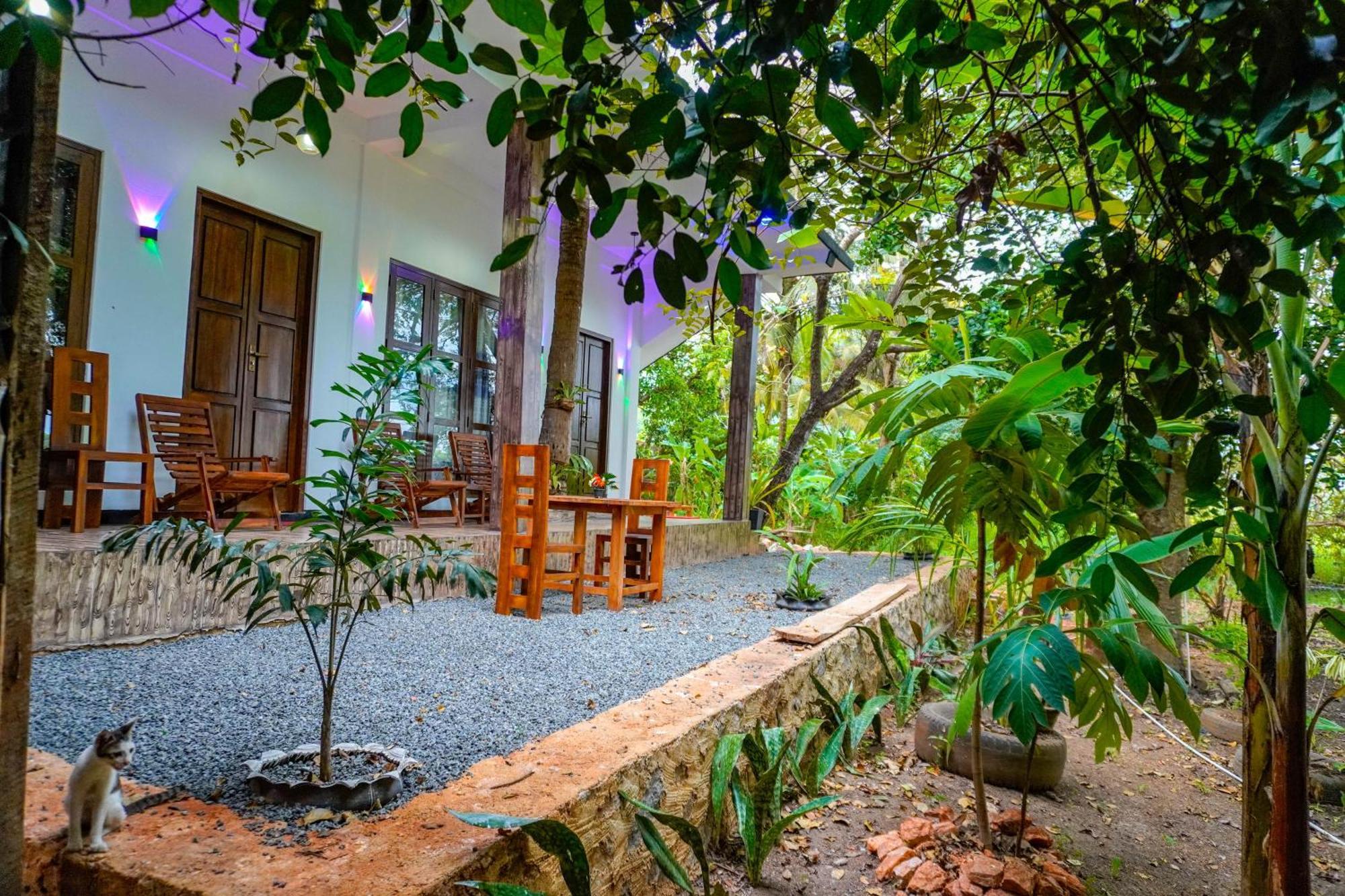 Nature Lotus Villa Дамбулла Экстерьер фото
