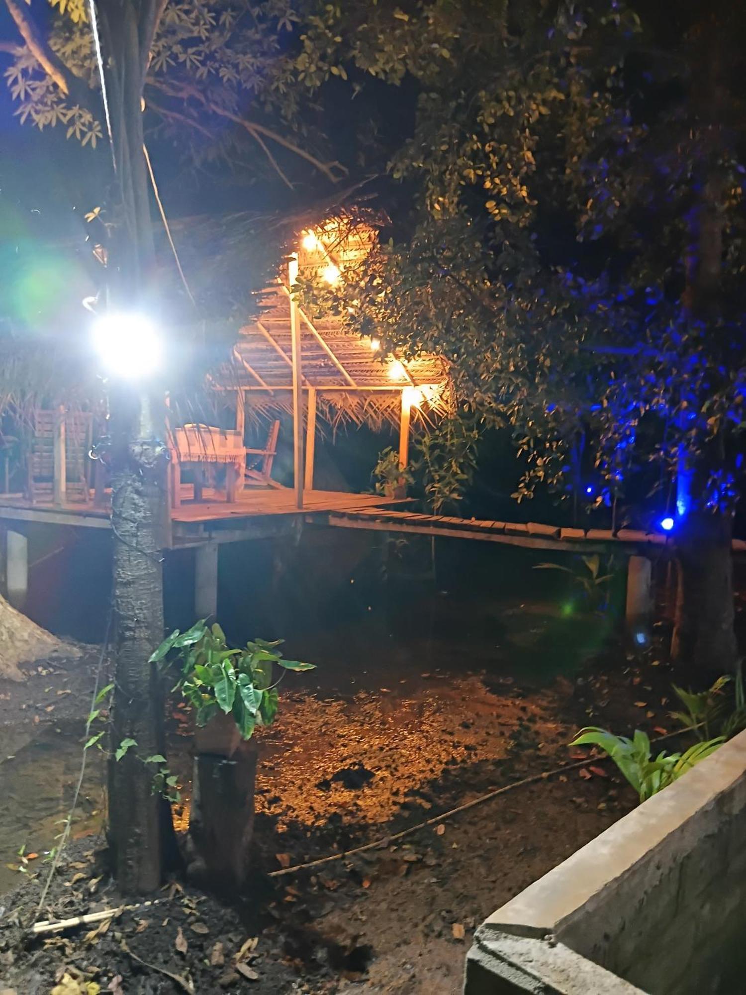 Nature Lotus Villa Дамбулла Экстерьер фото